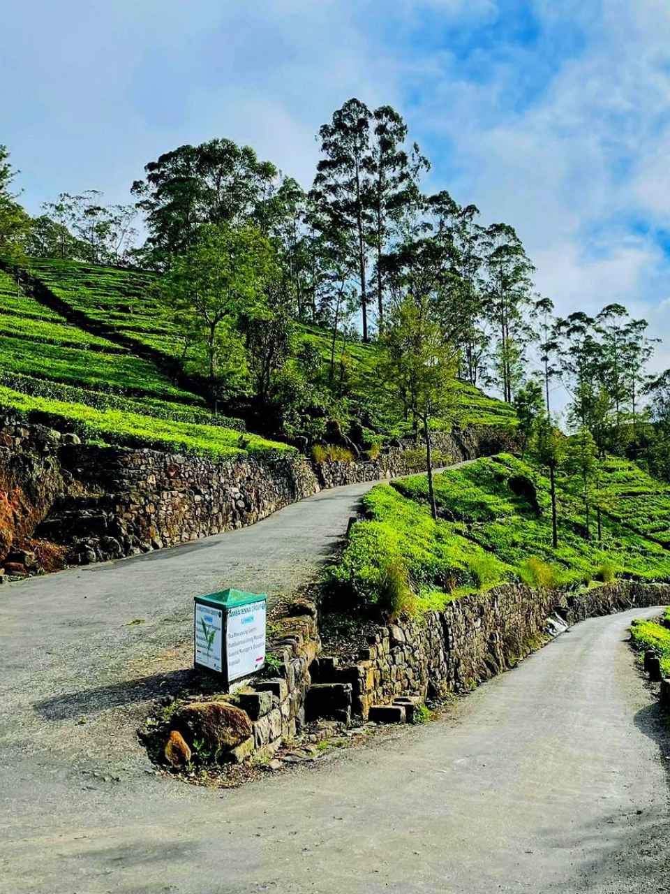 Dabethanna Estate