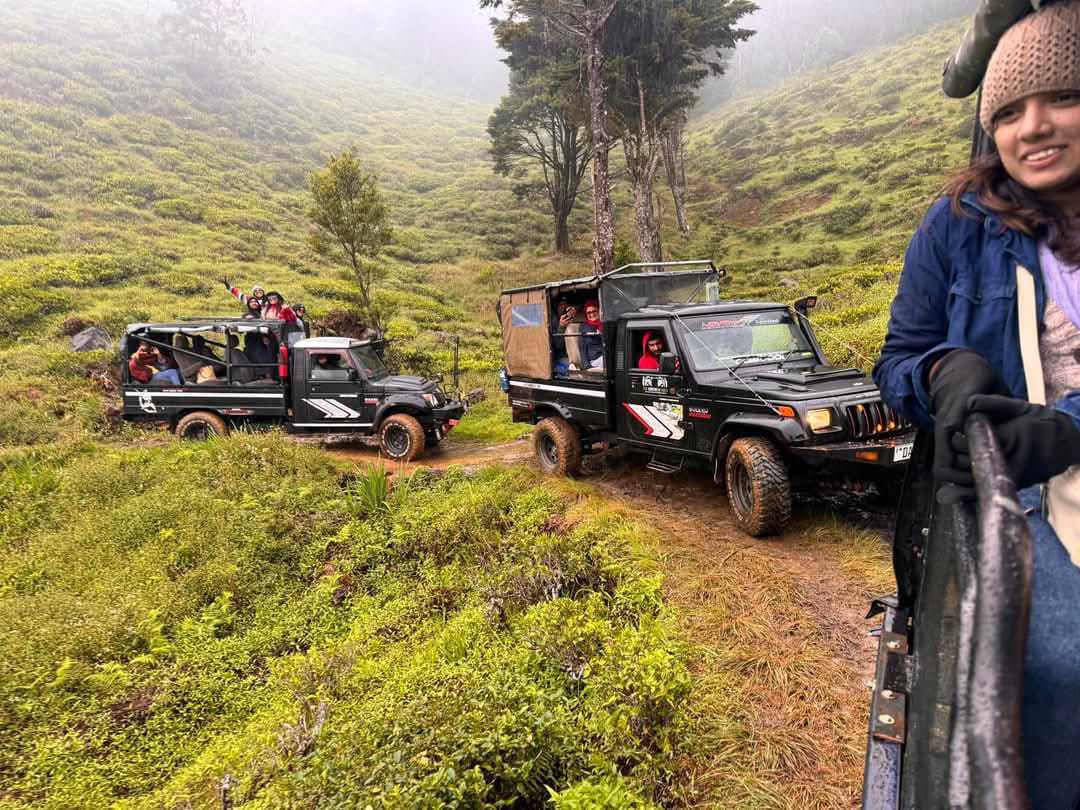 Moonshine Safari Jeep